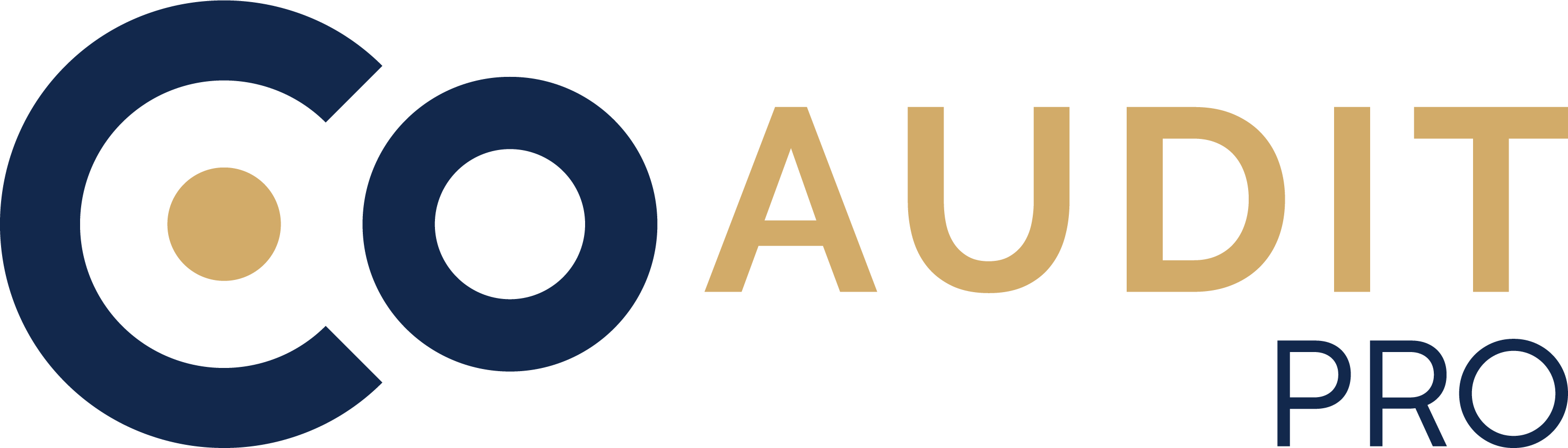CoAudit Pro